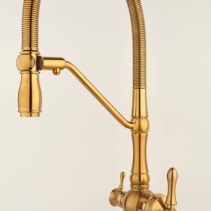 دومنظوره ساوانا