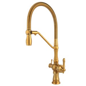 دومنظوره ساوانا